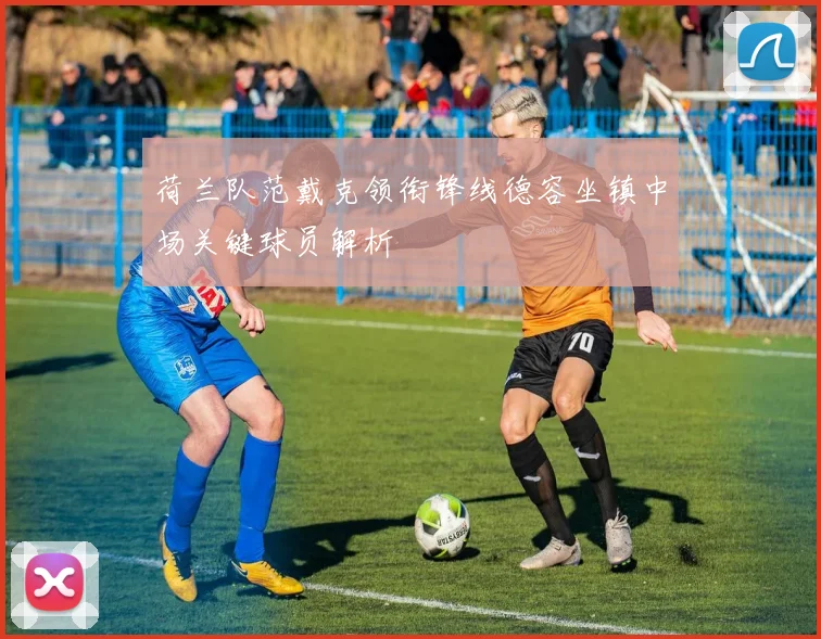荷兰队范戴克领衔锋线德容坐镇中场关键球员解析