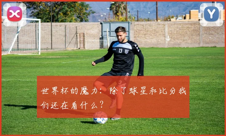 世界杯的魔力：除了球星和比分我们还在看什么？
