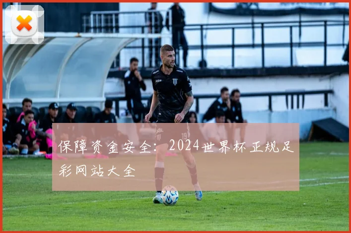 保障资金安全：2024世界杯正规足彩网站大全