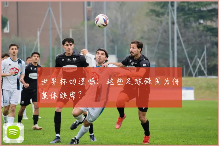 世界杯的遗憾：这些足球强国为何集体缺席？