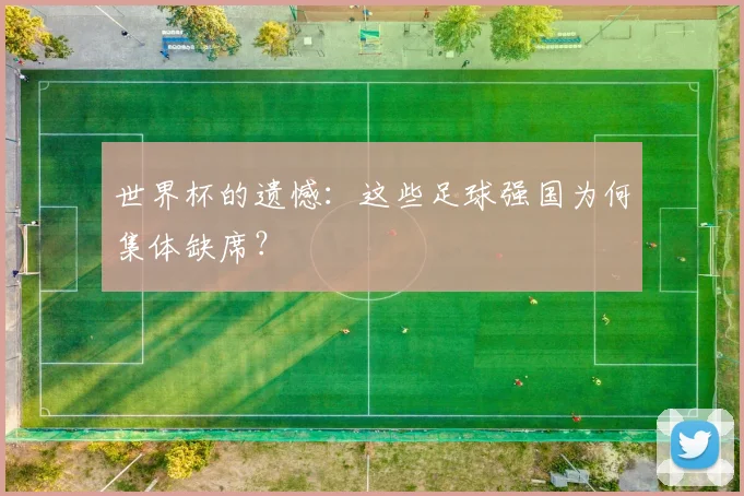 世界杯的遗憾：这些足球强国为何集体缺席？