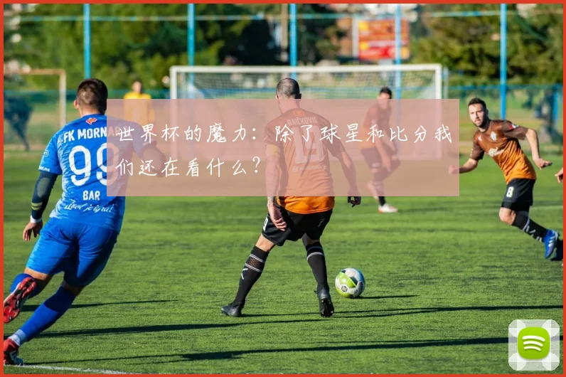 世界杯的魔力：除了球星和比分我们还在看什么？